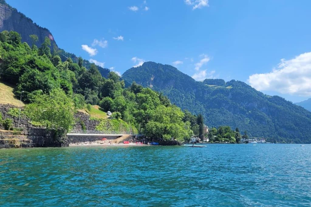 Villa Bootsmann Mit Spektakulaerer Seesicht Nahe Badestrand Vitznau Exterior photo